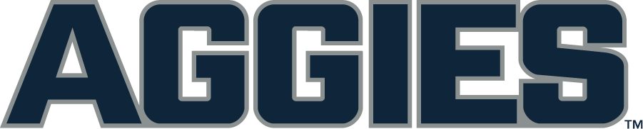 Utah State Aggies 2019-Pres Wordmark Logo diy iron on heat transfer